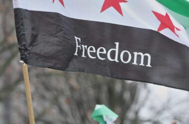 Grünen-Chefin für Abschiebungen von Straftätern nach Syrien