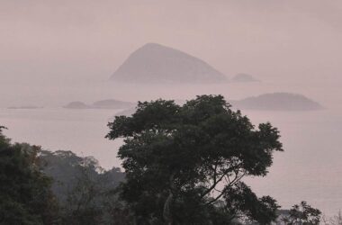 Deutschland stellt eine Milliarde für Tropenfonds bereit