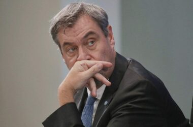 Söder spricht sich gegen AfD-Verbotsverfahren aus