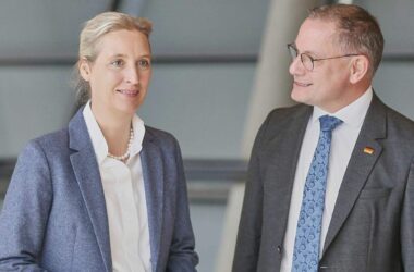 Umfrage: Enttäuschung über Regierungspolitik stärkt AfD am meisten