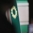 Grünen-Fraktionschefs warnen Partei vor Nische