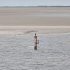 Gasförderung: Grüne wollen Borkum-Abkommen verhindern