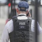 Greta Thunberg bei Demo in London festgenommen