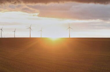 DWD: Dezember war außergewöhnlich sonnig und zu trocken