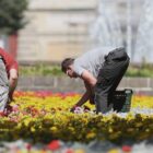 Weniger Torf in Blumenerden und Kultursubstraten