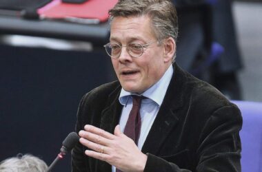 Grünen-Fraktionsvize ruft zur Geschlossenheit im Umgang mit AfD auf