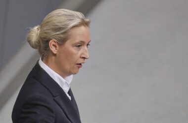 CDU und Grüne kritisieren Weidel für Verfassungsschutz-Aussage