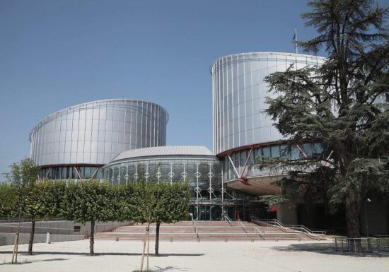 Hubig warnt vor "politischer Einflussnahme" auf EGMR