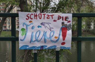 Zahl der Versuchstiere sinkt unter Zwei-Millionen-Grenze