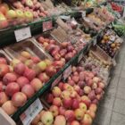 Obstbaubetriebe verzeichnen ertragreiches Jahr im Apfelanbau