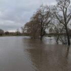 Naturkatastrophenschäden auch 2025 trotz Rückgang sehr hoch