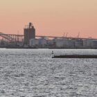 AfD kritisiert Trumps Zollpolitik