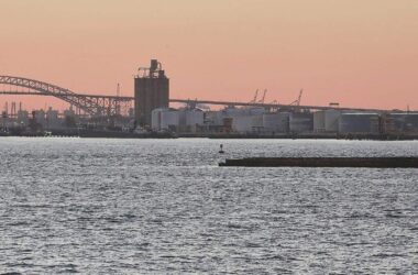 AfD kritisiert Trumps Zollpolitik