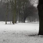 Feuerwehrverband warnt nach Wintereinbruch vor Waldspaziergängen