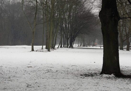 Feuerwehrverband warnt nach Wintereinbruch vor Waldspaziergängen