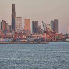 Grüne fordern entschlossene Antwort auf Trumps Zolldrohung