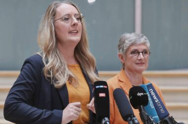 Grüne kritisieren eigene EU-Abgeordnete nach Mercosur-Abstimmung