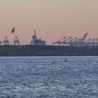 Trump verhängt Sondersteuer für Geschäftspartner des Iran