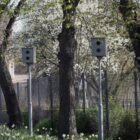 Verkehrsministerium lehnt Totalverbot für Blitzerwarnapps ab