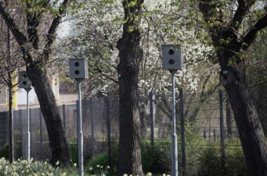 Verkehrsministerium lehnt Totalverbot für Blitzerwarnapps ab