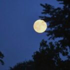 CSU will Deutschland zum Weltraumzentrum Europas machen