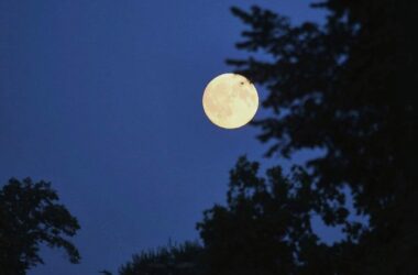 CSU will Deutschland zum Weltraumzentrum Europas machen