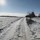 Kälteeinbruch: Verbände erwarten positive Folgen für Landwirtschaft