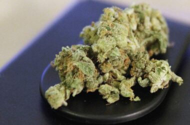 Zoll beschlagnahmt immer mehr Cannabis aus Nordamerika