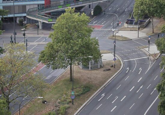 Siedlungs- und Verkehrsfläche wächst wieder etwas langsamer