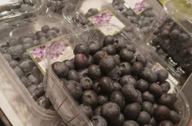 Strauchbeerenernte 2025 um gut 23 Prozent gestiegen