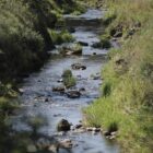 Umweltministerium startet Renaturierungsprogramm für Flussauen