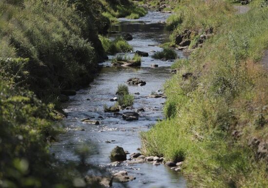Umweltministerium startet Renaturierungsprogramm für Flussauen