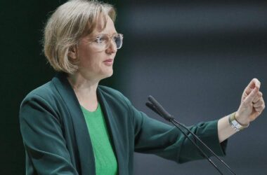 Brantner kritisiert Wirtschafts- und Energiepolitik von Schwarz-Rot