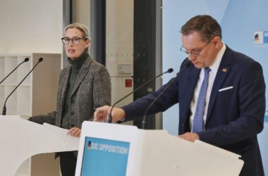 Politbarometer: AfD büßt ein - Grüne legen zu