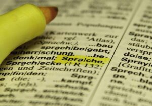 Mehrheit der Bevölkerung spricht zu Hause ausschließlich Deutsch