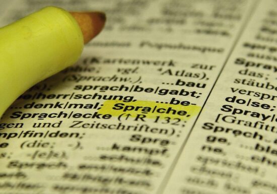 Mehrheit der Bevölkerung spricht zu Hause ausschließlich Deutsch