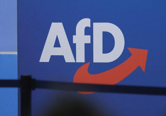 Bundesregierung sieht bei neuer AfD-Jugend keine Mäßigung