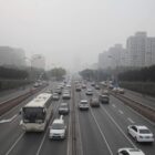 Connemann fordert Ende von Investitionsverboten in China