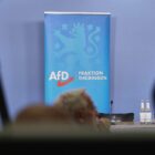 Ex-Verfassungsrichter hält AfD-Verbot in Thüringen für "denkbar"