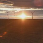 EU-Kommission ermittelt gegen chinesische Windkraftfirma