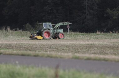 Landwirtschaftliche Erzeugerpreise im Dezember deutlich gesunken