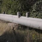 Versorger gegen Förderung für Wärmepumpen in neuen Fernwärmegebieten