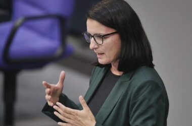 Epstein: Grüne fordern Bundesregierung zu Nachforschungen auf