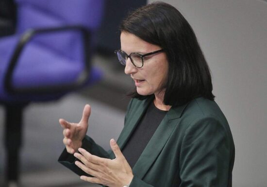 Epstein: Grüne fordern Bundesregierung zu Nachforschungen auf