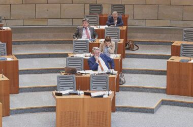 AfD-Landtagsabgeordnete beschäftigen besonders viele Mitarbeiter