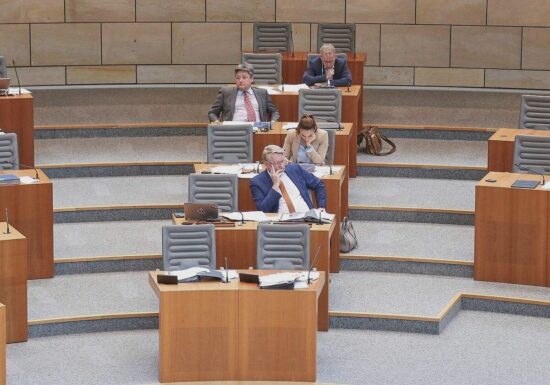 AfD-Landtagsabgeordnete beschäftigen besonders viele Mitarbeiter