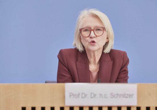 Schnitzer: Schwarzarbeiter zu gemeinnütziger Arbeit verpflichten