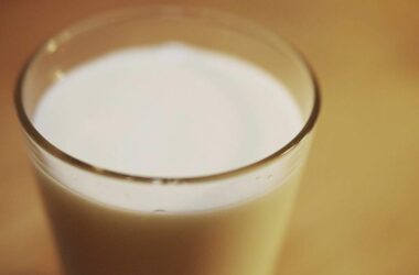 Milchbauern rufen Rainer zu Kampf gegen Preisverfall auf