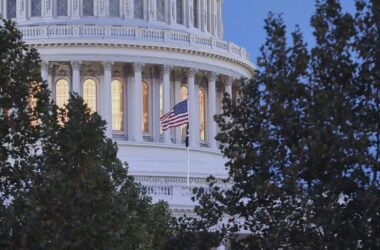 US-Historiker fürchtet Untergrabung von Kongresswahlen durch Trump