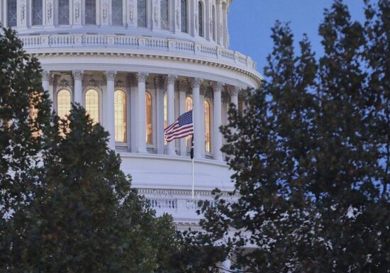 US-Historiker fürchtet Untergrabung von Kongresswahlen durch Trump